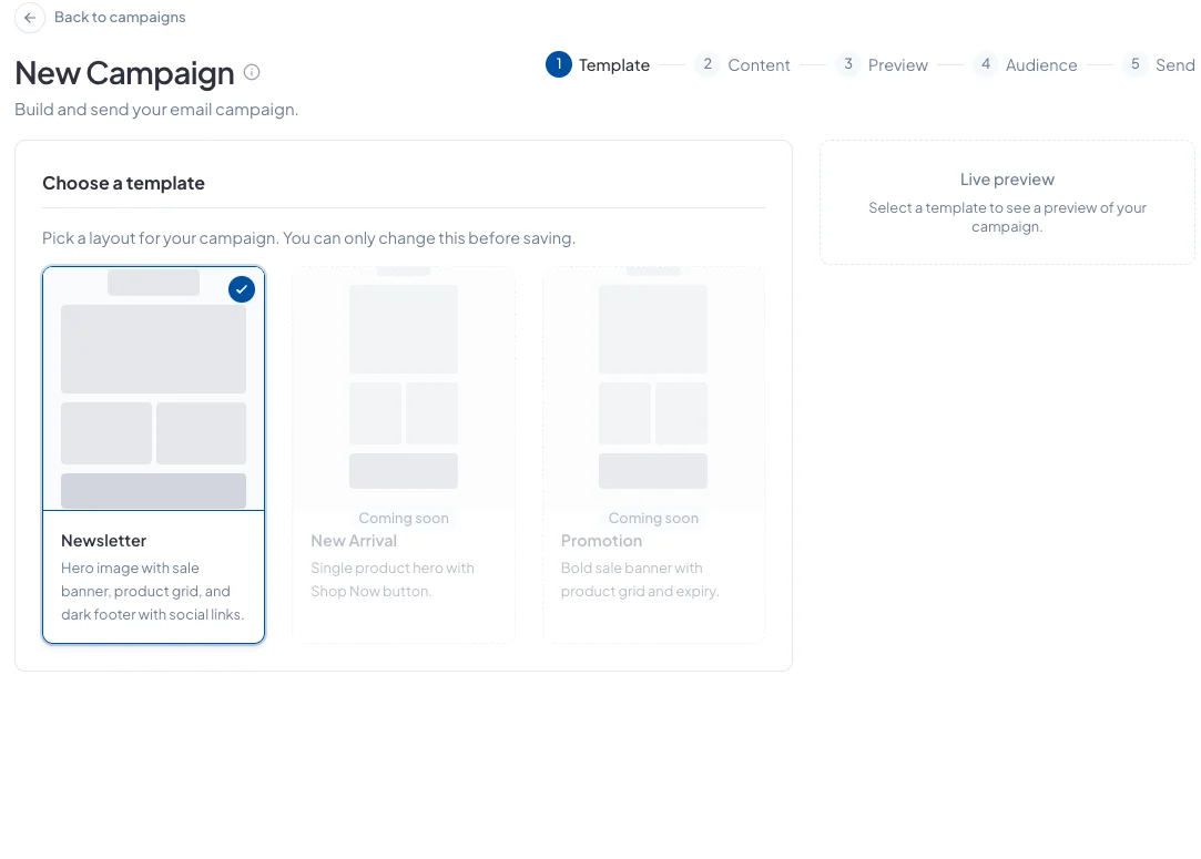 Step 1: choosing the Newsletter template